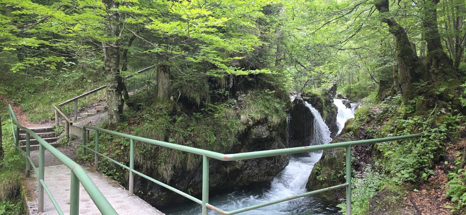Thumbnail zu 14.06.2026 - Wanderung  Risserkogel