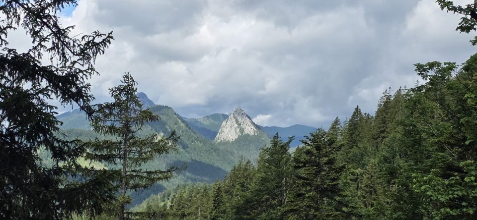 Thumbnail zu 14.06.2026 - Wanderung  Risserkogel