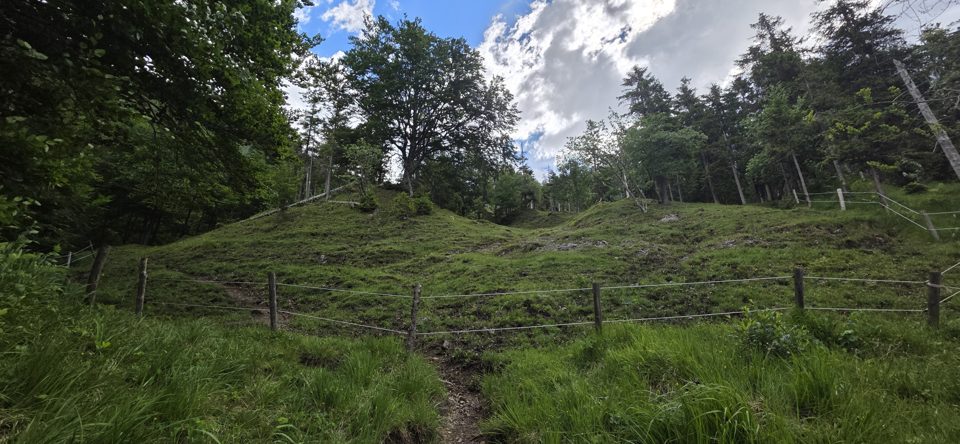 Thumbnail zu 14.06.2026 - Wanderung  Risserkogel